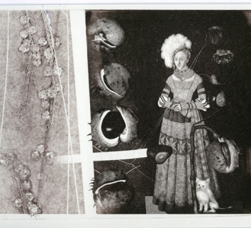 Sidarava