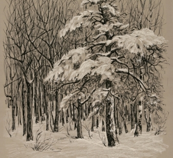 Shakinka